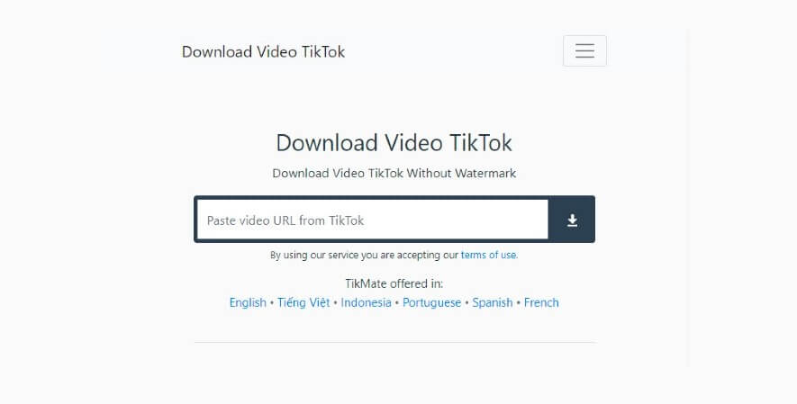 Tikmate Download Video TikTok